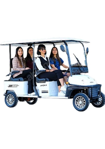 AroraPolo Plus Elektrikli Motosiklet 250 kg Taşıma Kapasitesi Yüksek Performanslı 4 Tekerlekli 2026 Model